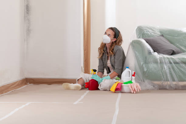 Reliable Mold Testing contractor in Bellaire, TX by WQB Mold Removal